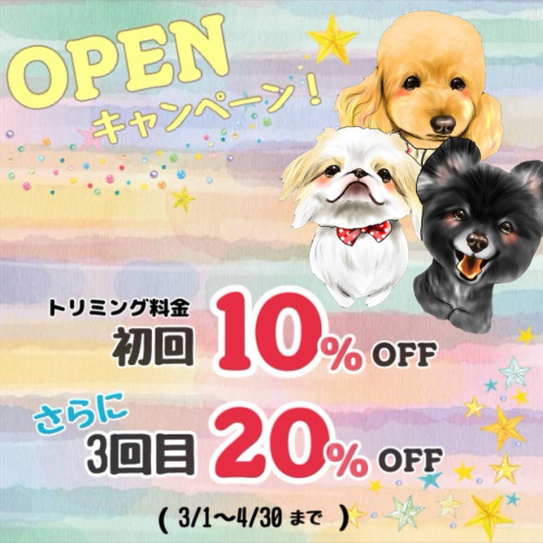 OPENキャンペーン！！