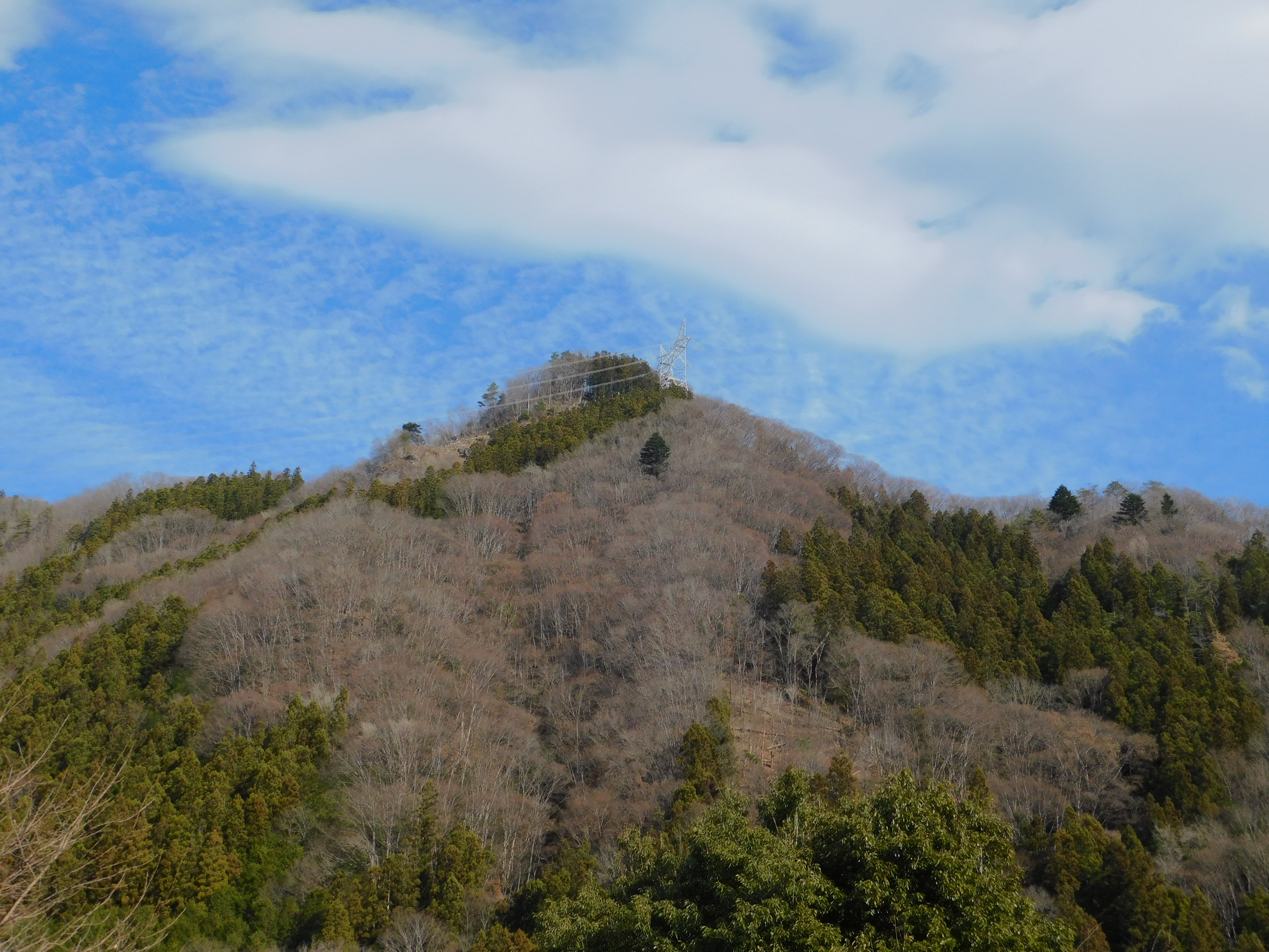 冬山の上野村です