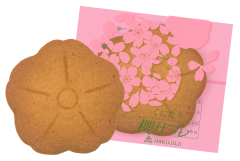 櫻サブレ.png