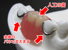 dental07.jpg