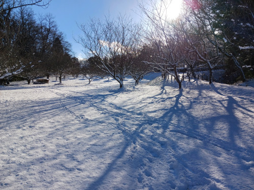 20240108_091050.jpg