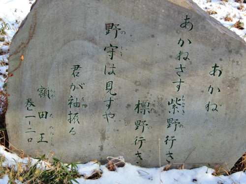 DSCN2091.JPG