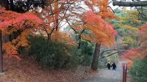 DSC_4898.JPG