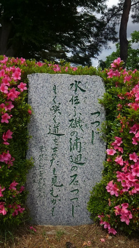 KIMG0725.JPG