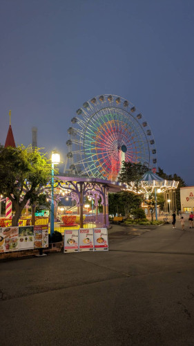 51390.jpg