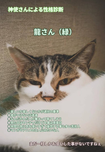 52803.jpg