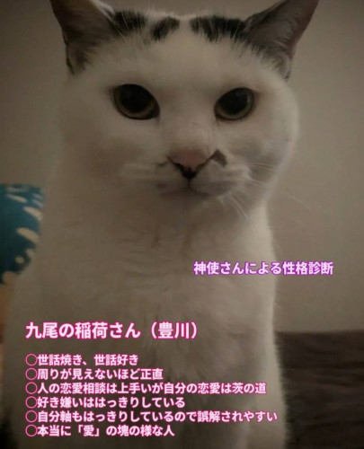 52804.jpg