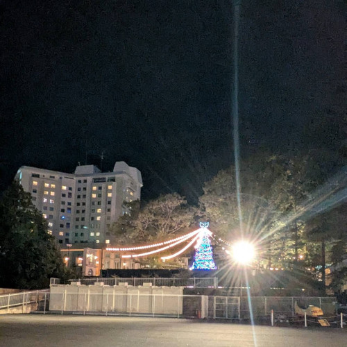 55234.jpg