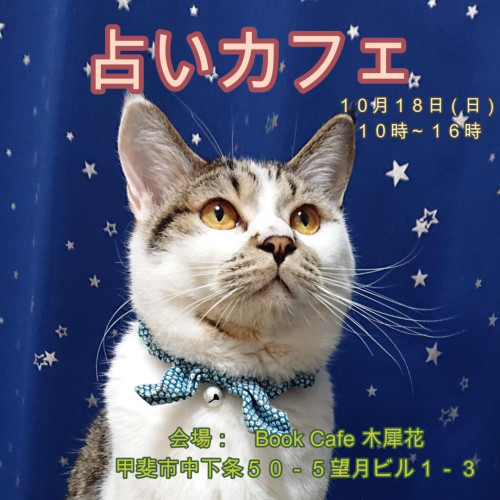 占いカフェ０１.JPG