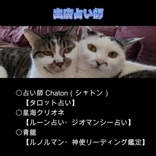 占いカフェ０３.JPG