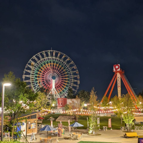 54010.jpg