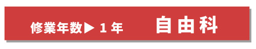 自由科年数.jpg