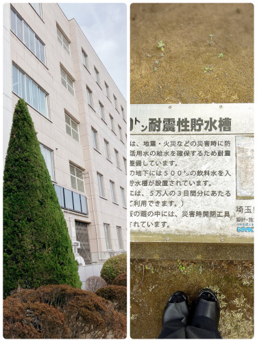 IMG_5301.jpeg