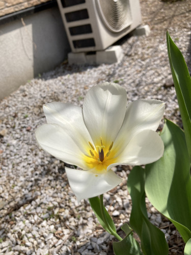 IMG_5547.jpeg