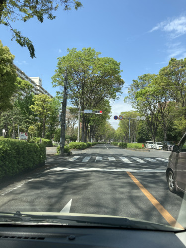 IMG_5605.jpeg