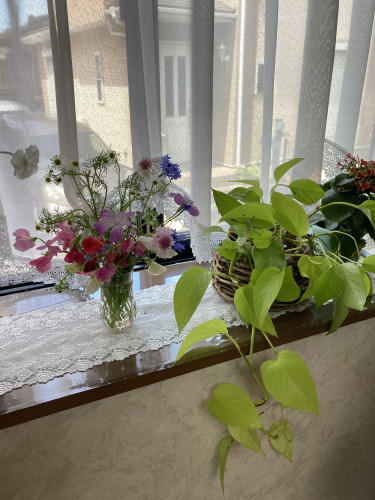 IMG_5855.jpeg