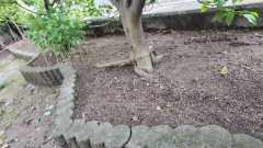 250522154110849.JPG