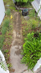 240515090933416 (1).JPG