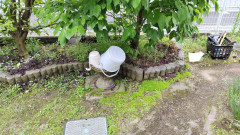 240515090949889.JPG