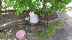 240517115258297.JPG