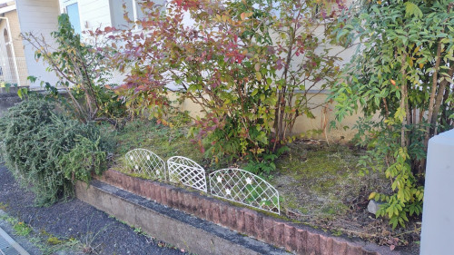 251120091658404 (1).JPG