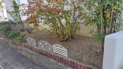 251120121804314 (1).JPG