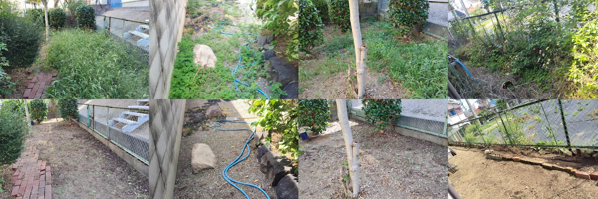 🌾お庭の草むしりお任せ下さい🌾