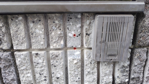 260206104126359 - コピー.JPG