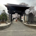 IMG_4919.jpeg