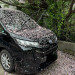IMG_4940.jpeg