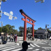 IMG_5703.jpeg