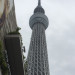 IMG_5692.jpeg