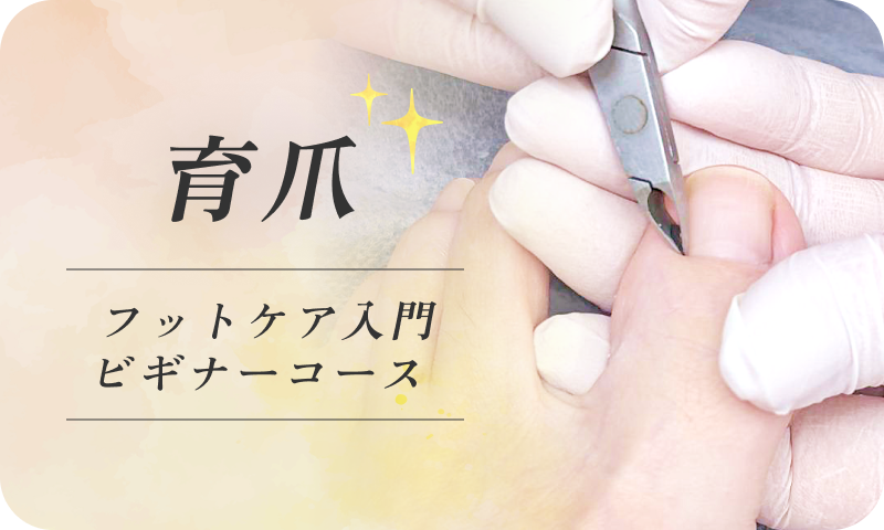 育爪 フットケア入門ビギナーコース