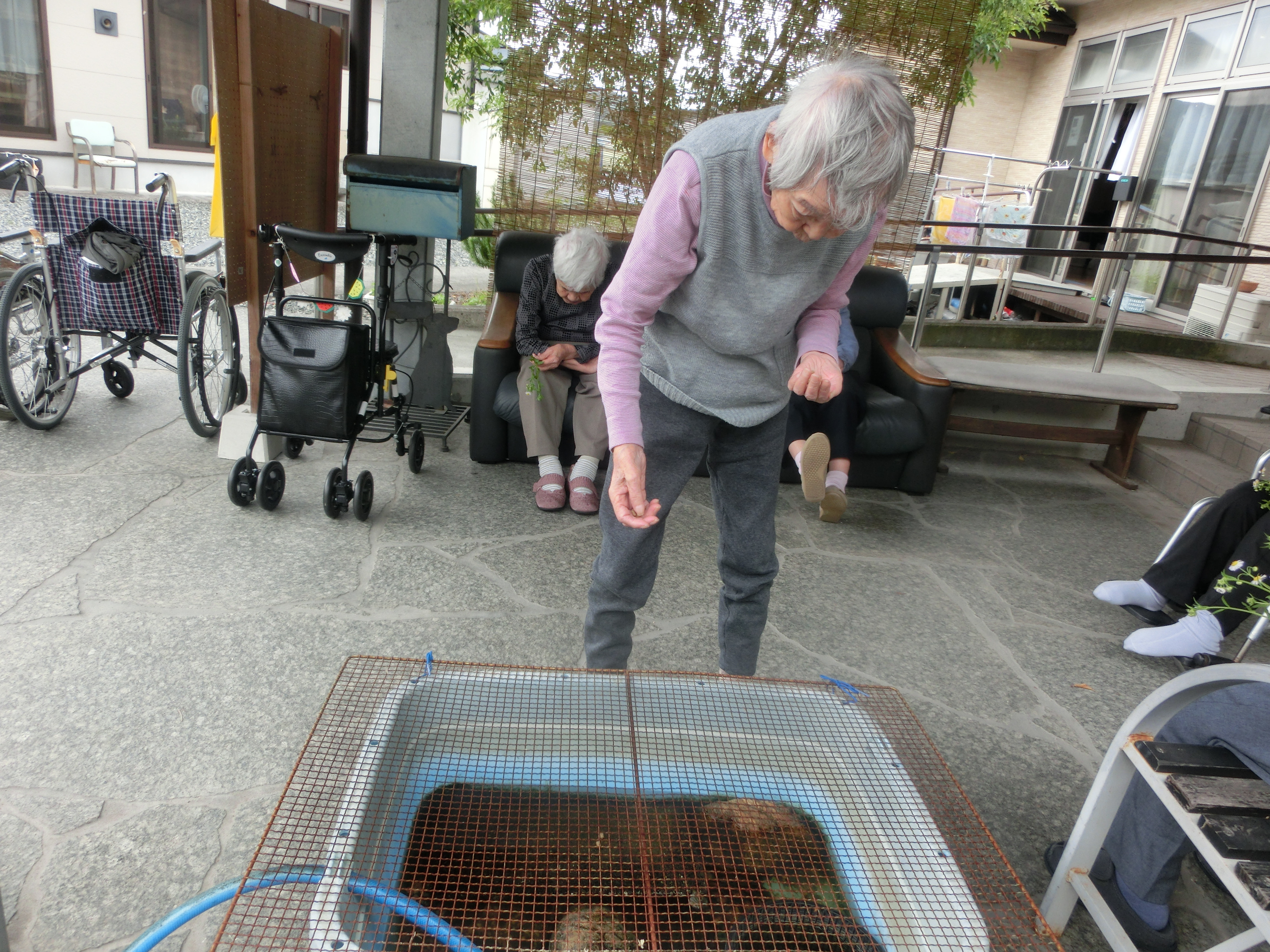 屋外テラスで入居者が魚を観察する活動風景