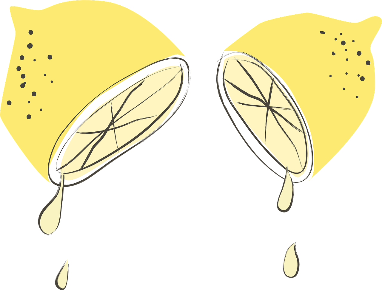 lemons-511479_1280.png