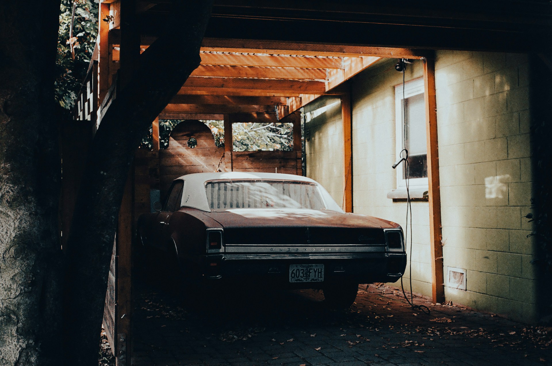 hazel-_yTVn5YAITM-unsplash.jpg