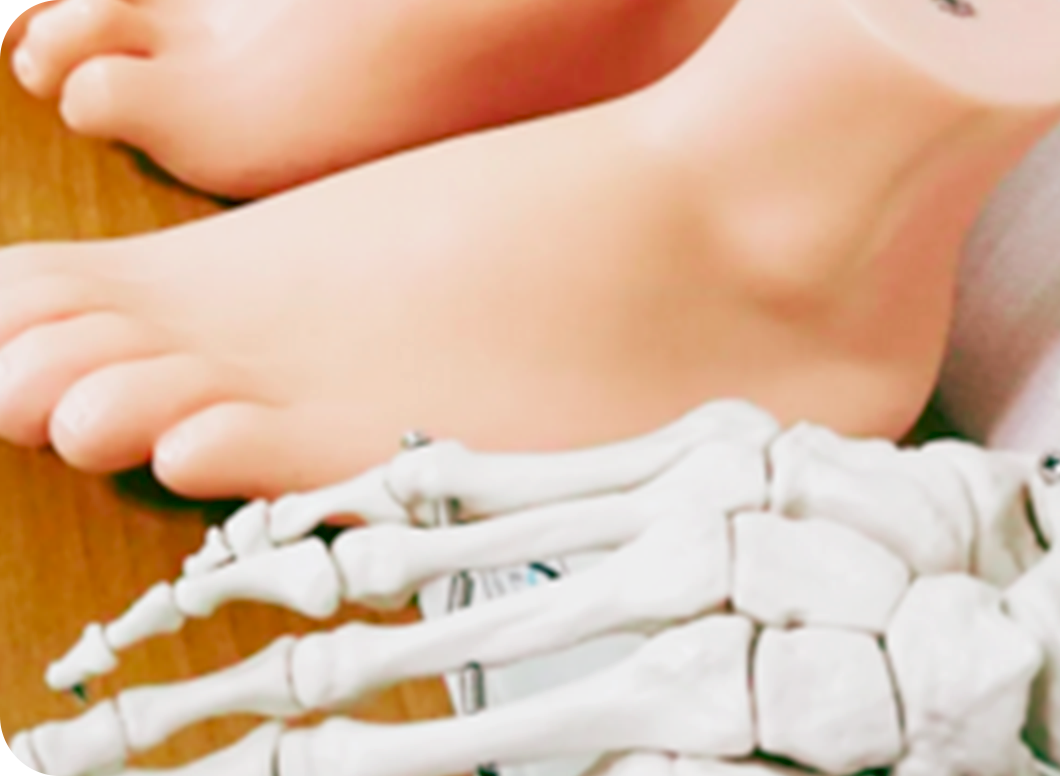 ３Ｄ骨格インソールプログラム