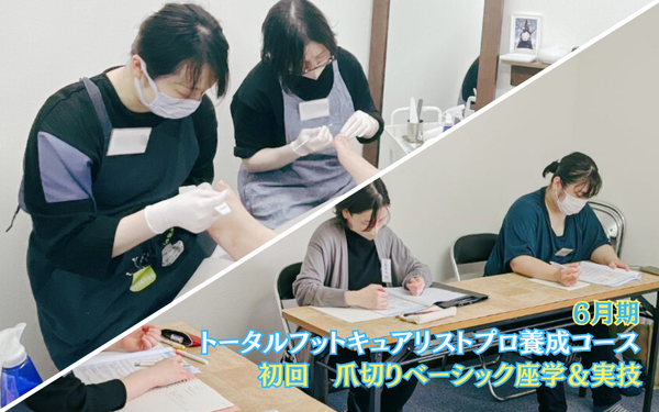 ６月期.png