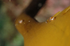 IMG_2294.jpeg