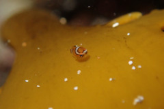 IMG_2297.jpeg