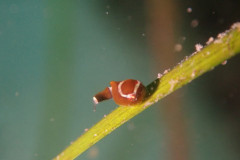 IMG_2322.jpeg