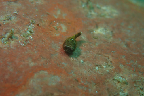 IMG_2749.jpeg