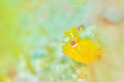IMG_1537.jpeg