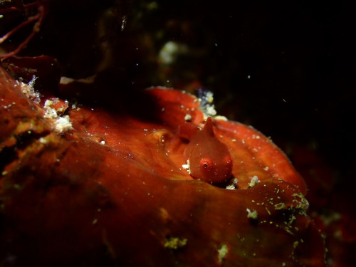 IMG_2964.jpeg