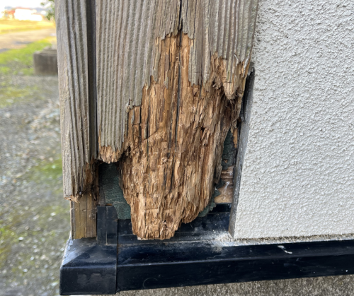 武藤武則様邸 (5).png