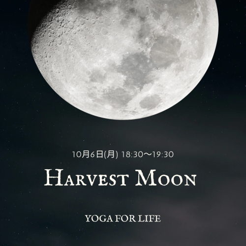 中秋の名月ナイトヨガ20251006.png