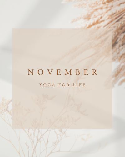 2025年11月スケジュール