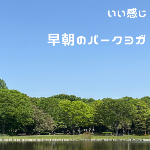 毎年恒例！ 洞峰公園 早朝のパークヨガ