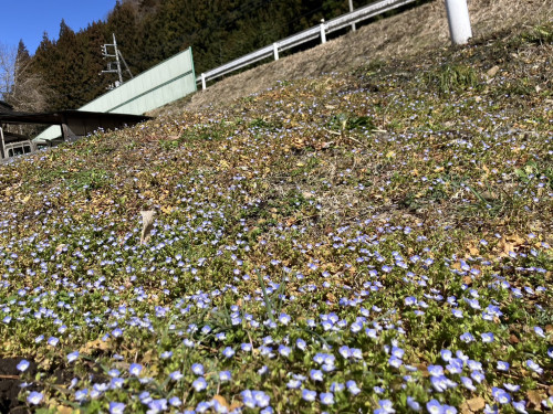 S__105177097_0.jpg