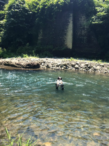 S__110247951.jpg